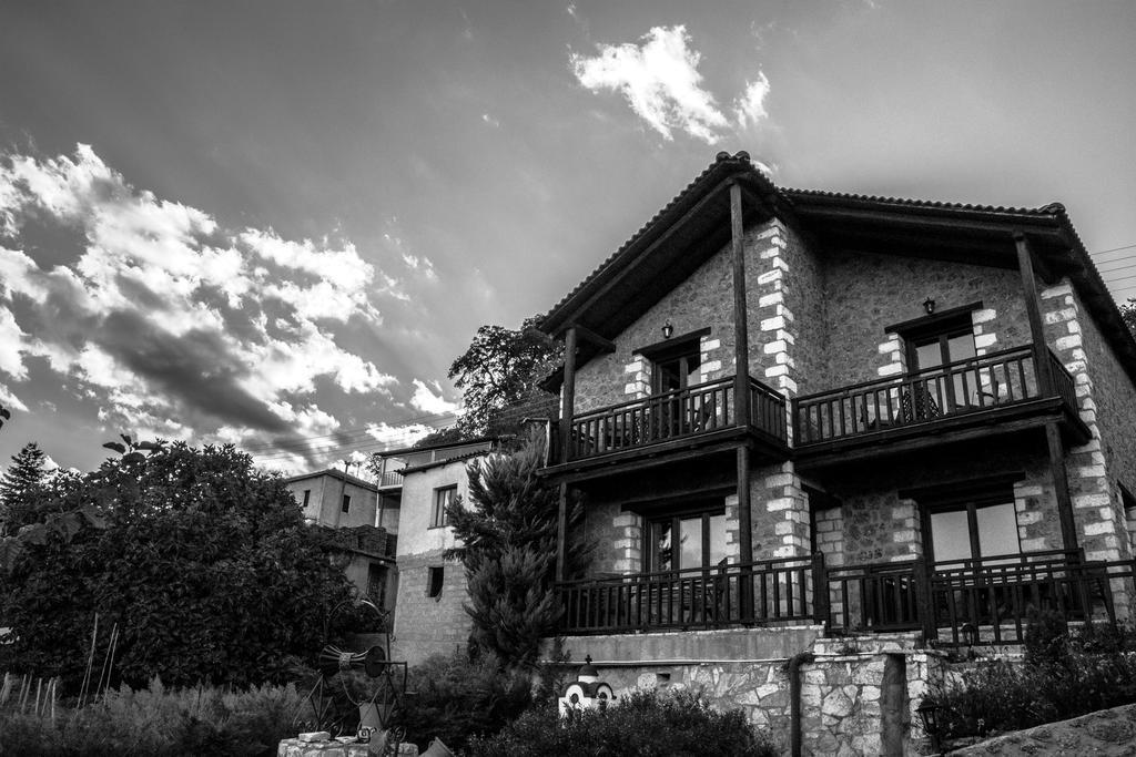 Theasis Suites-Ορεινή Φιλοξενία Kato Sinikia Trikalon Exterior foto