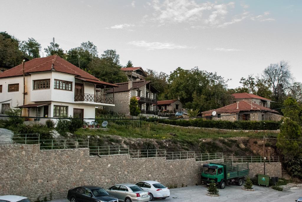 Theasis Suites-Ορεινή Φιλοξενία Kato Sinikia Trikalon Exterior foto